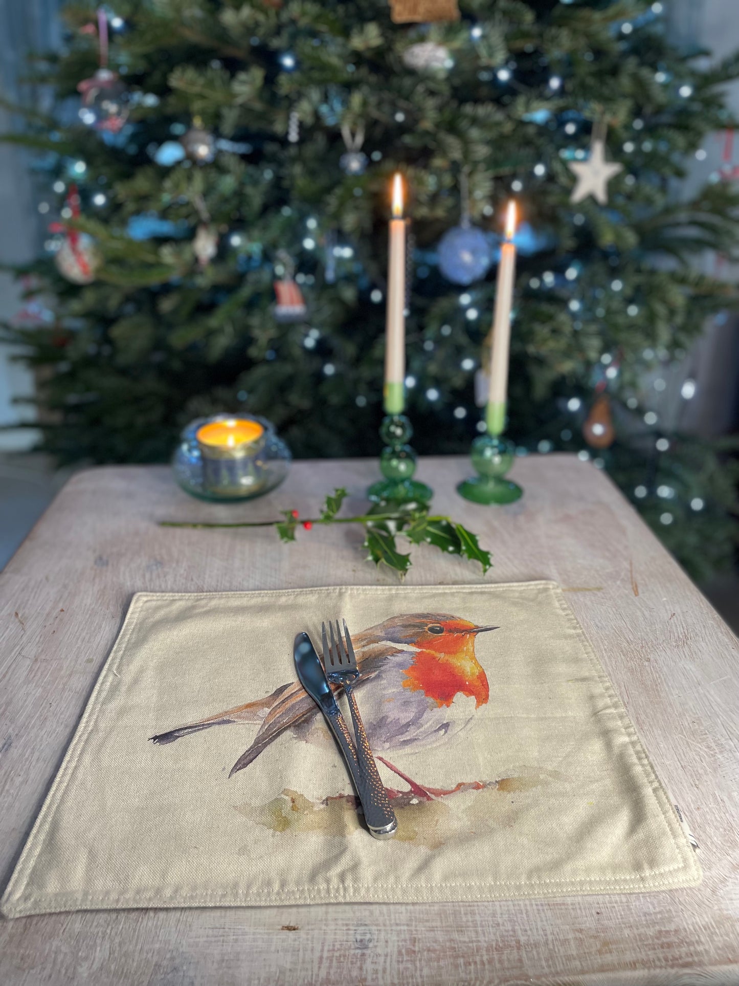 Festive Robin Print fabric Placemat (set of2)