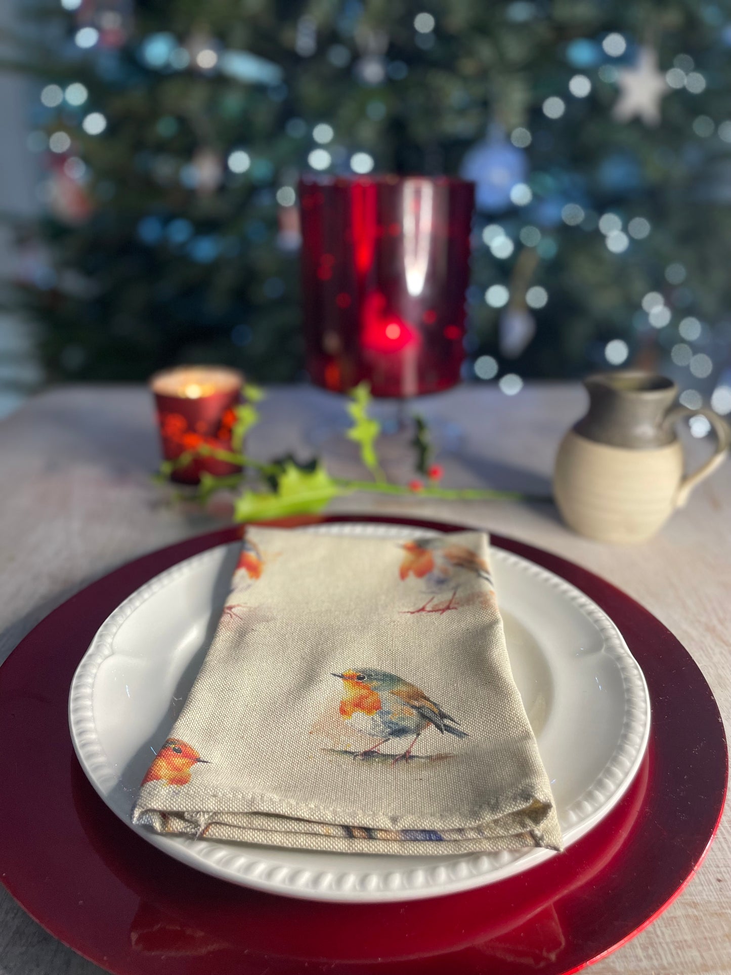 Festive Robin Print fabric Placemat (set of2)