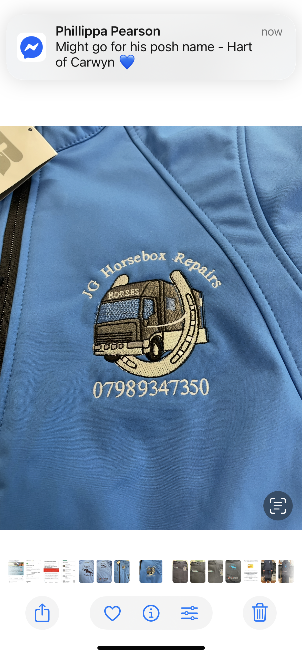 Personalised embroidered Hoodie-Business logo -