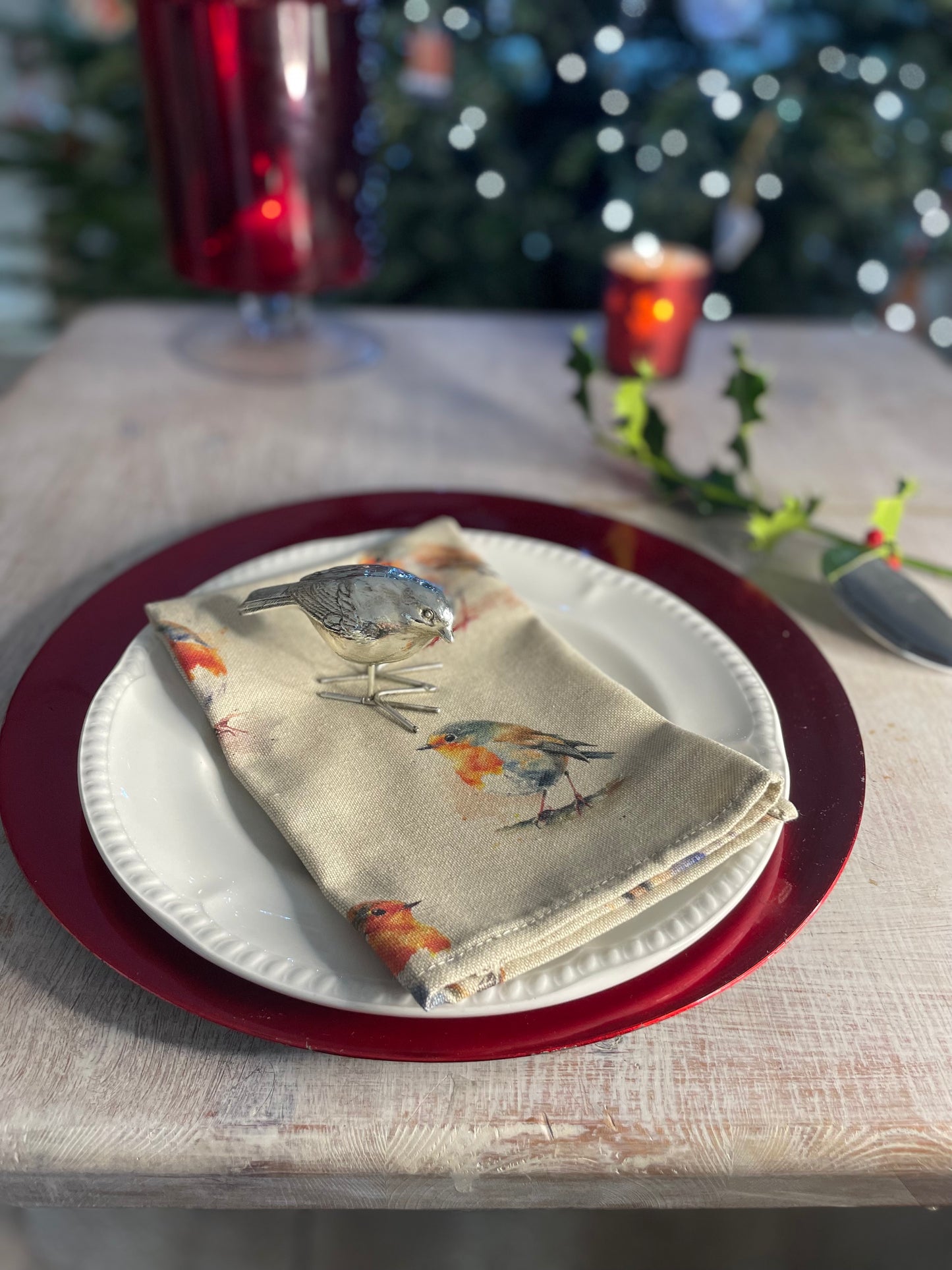 Festive Robin Print fabric Placemat (set of2)