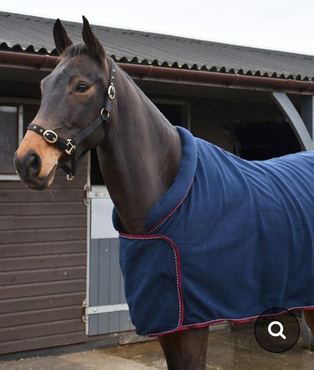 Rhinegold Comfey Collar Fleece Rug-