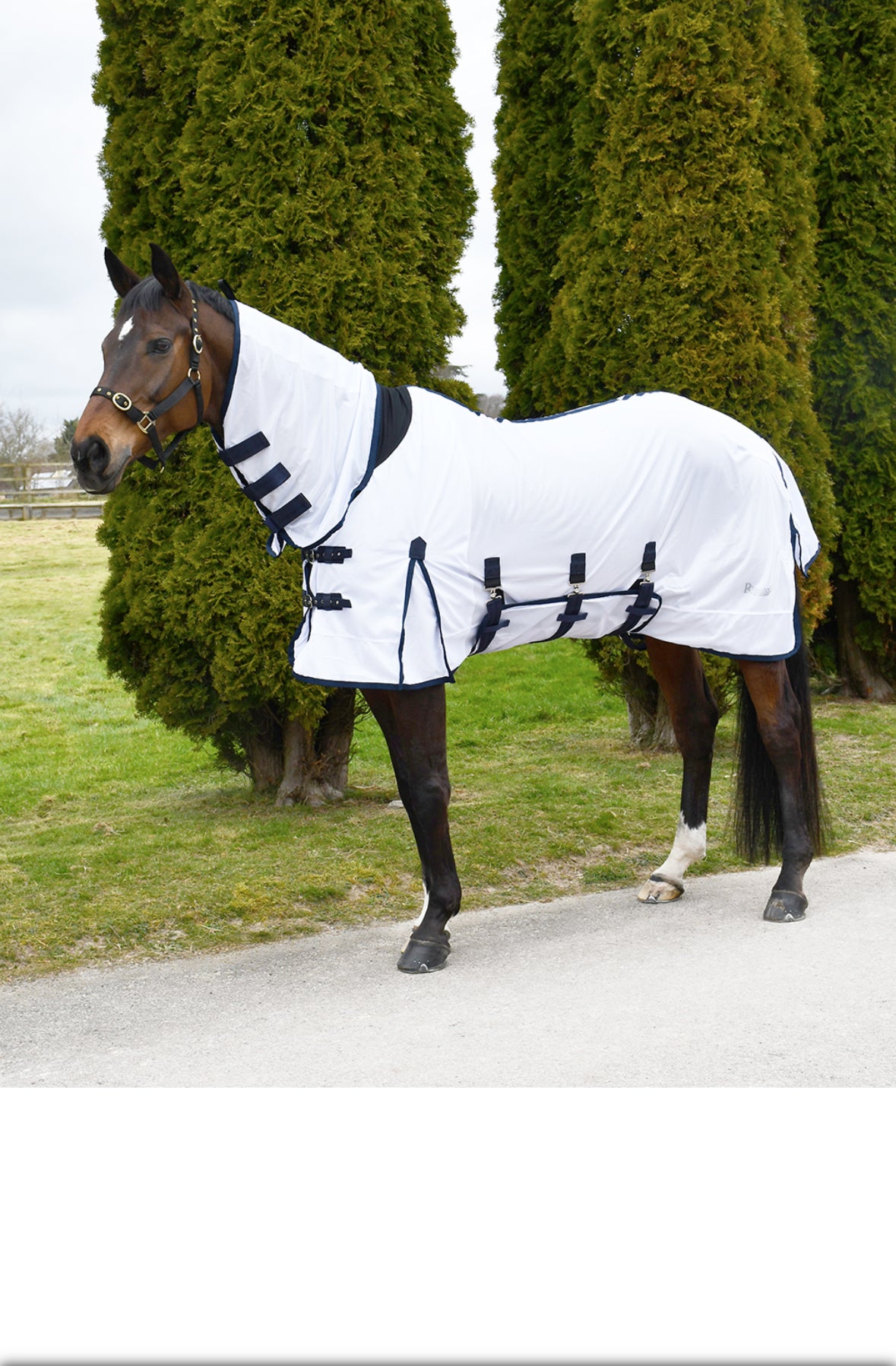 Fly Rug-Rhinegold combo