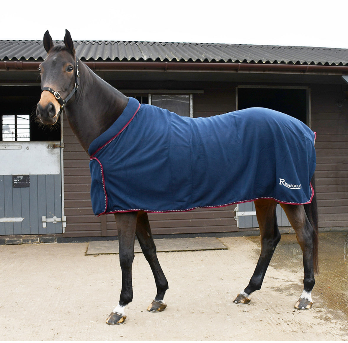 Rhinegold Comfey Collar Fleece Rug-