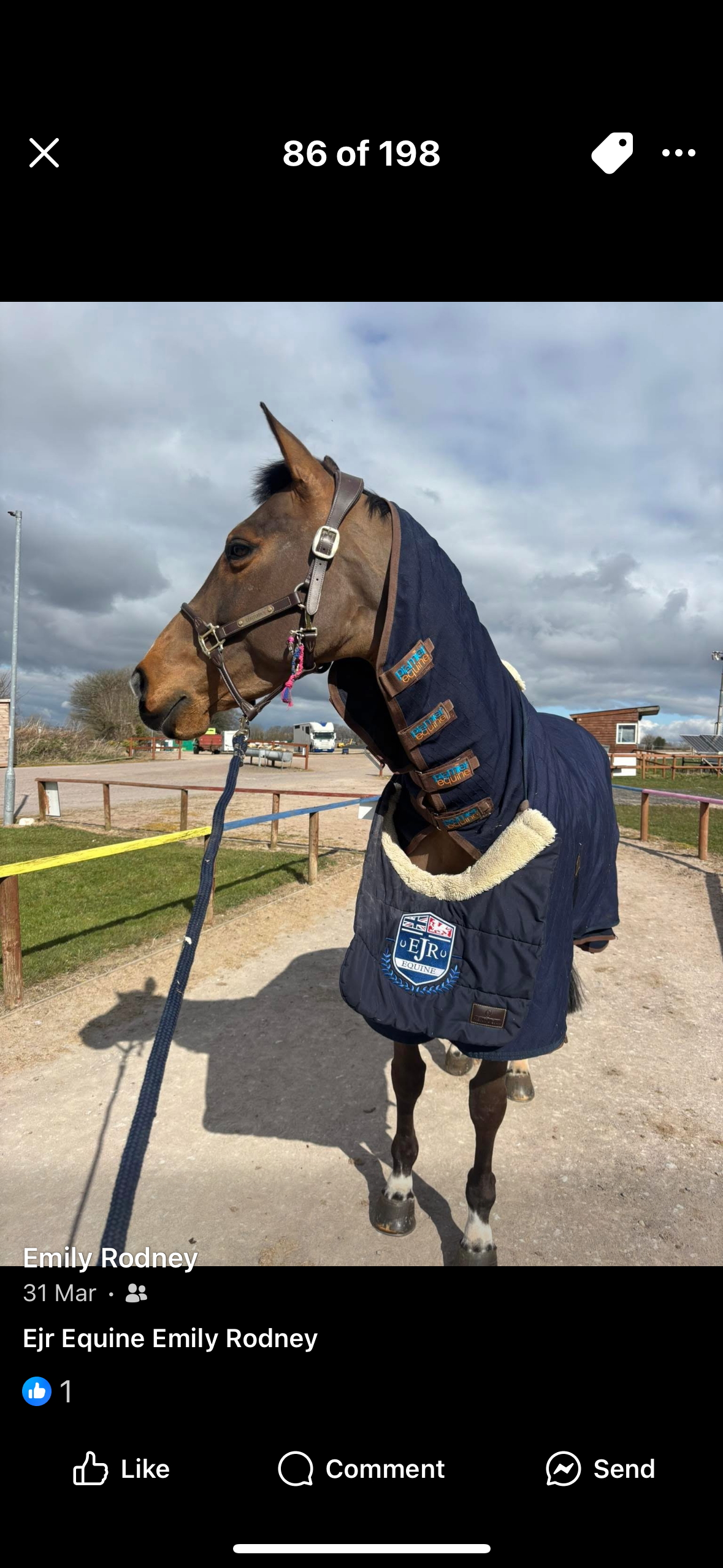 Rhinegold Comfey  Fleece Rug-Navy with Embroidered names