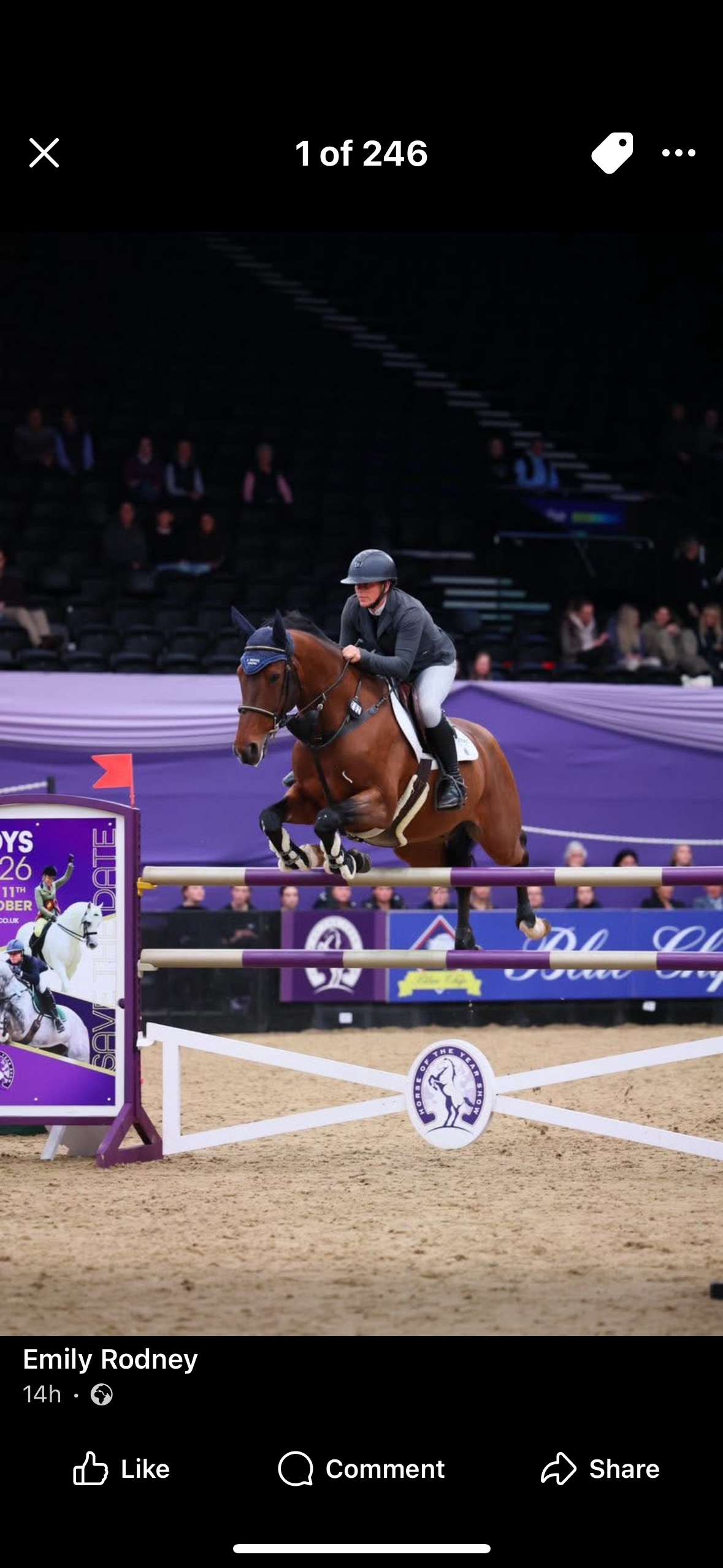 Rhinegold Comfey  Fleece Rug-Navy with Embroidered names