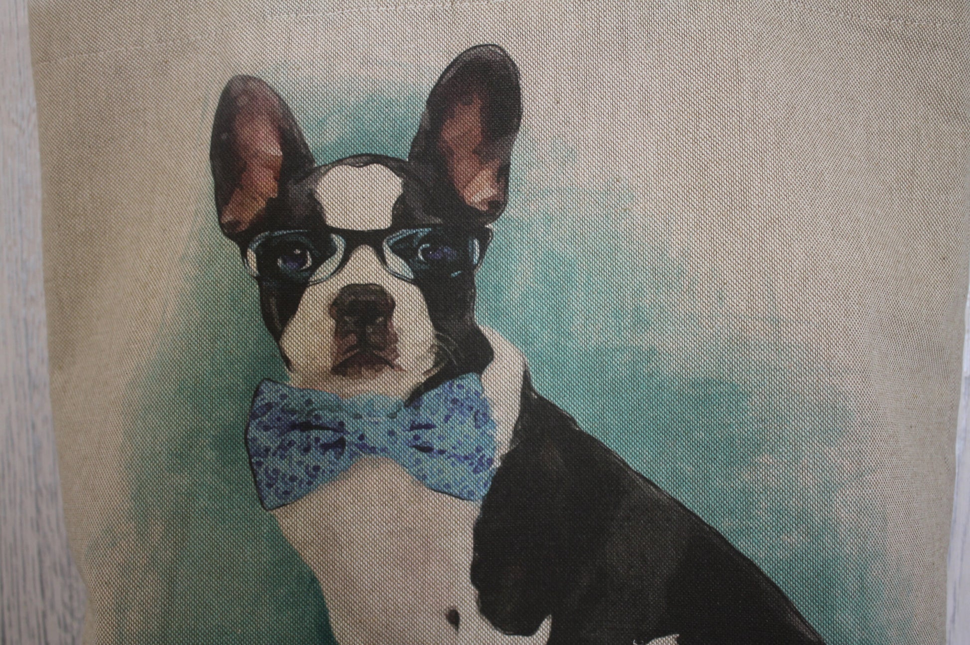 French Bulldog Cushion- 18" Square- Novelty French bulldog wearing glasses Cushion -Printed frenchie cushion